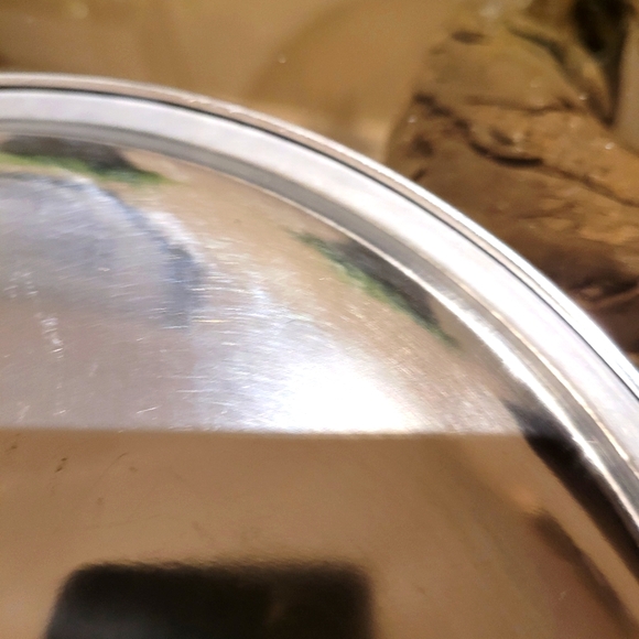 Stainless steel dinner plates. - Picture 5 of 7